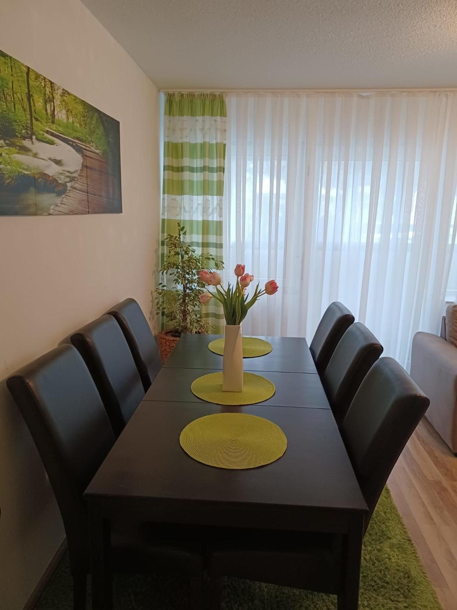 H&A Apartment Baden Baden Exterior photo